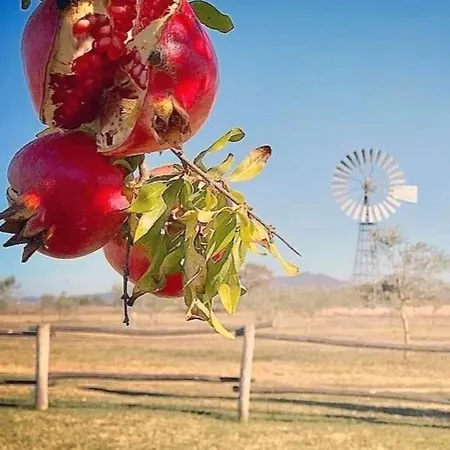 Vento Di Maremma Alloggio per agriturismo *